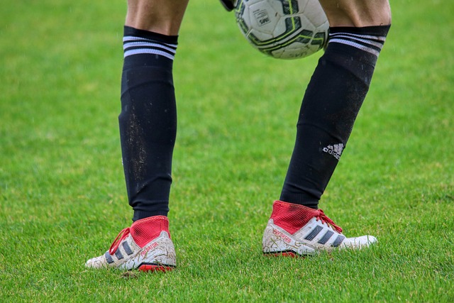 的期盼中 的期盼中