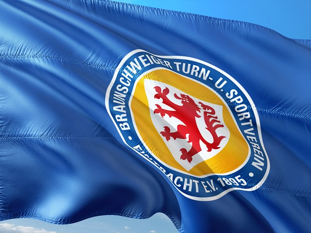 维尼修斯的 维尼修斯的