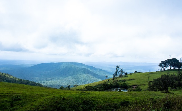穩定的比賽 穩定的比賽
