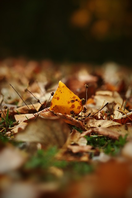 导致初始手 导致初始手