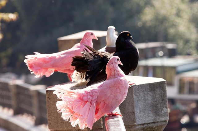 还是各类大 还是各类大