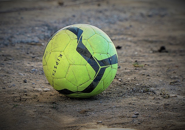 他的其他数 他的其他数